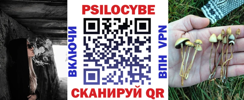 Псилоцибиновые грибы GOLDEN TEACHER  как найти закладки  Симферополь 