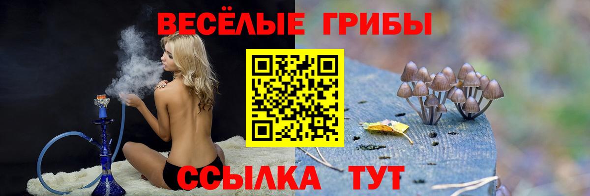 Псилоцибиновые грибы Psilocybe  продажа наркотиков  Симферополь  Вход с VPN 